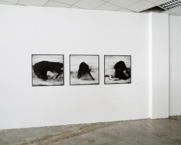 From the original motion picture — installation view