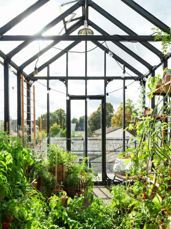 Loft with greenhouse, Naila